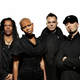 Skunk Anansie