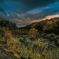 Creeds - Push Up (Amero & Hallasen Vip Edit)