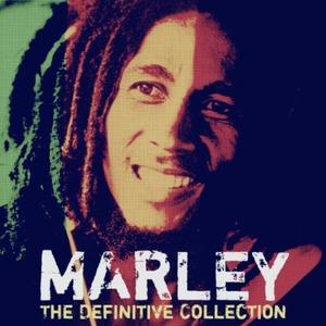 Exodus - Live Arrangement - Bob Marley (PM karaoke) 带和声伴奏
