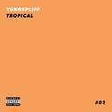 Tropical Beats, Vol. 1专辑