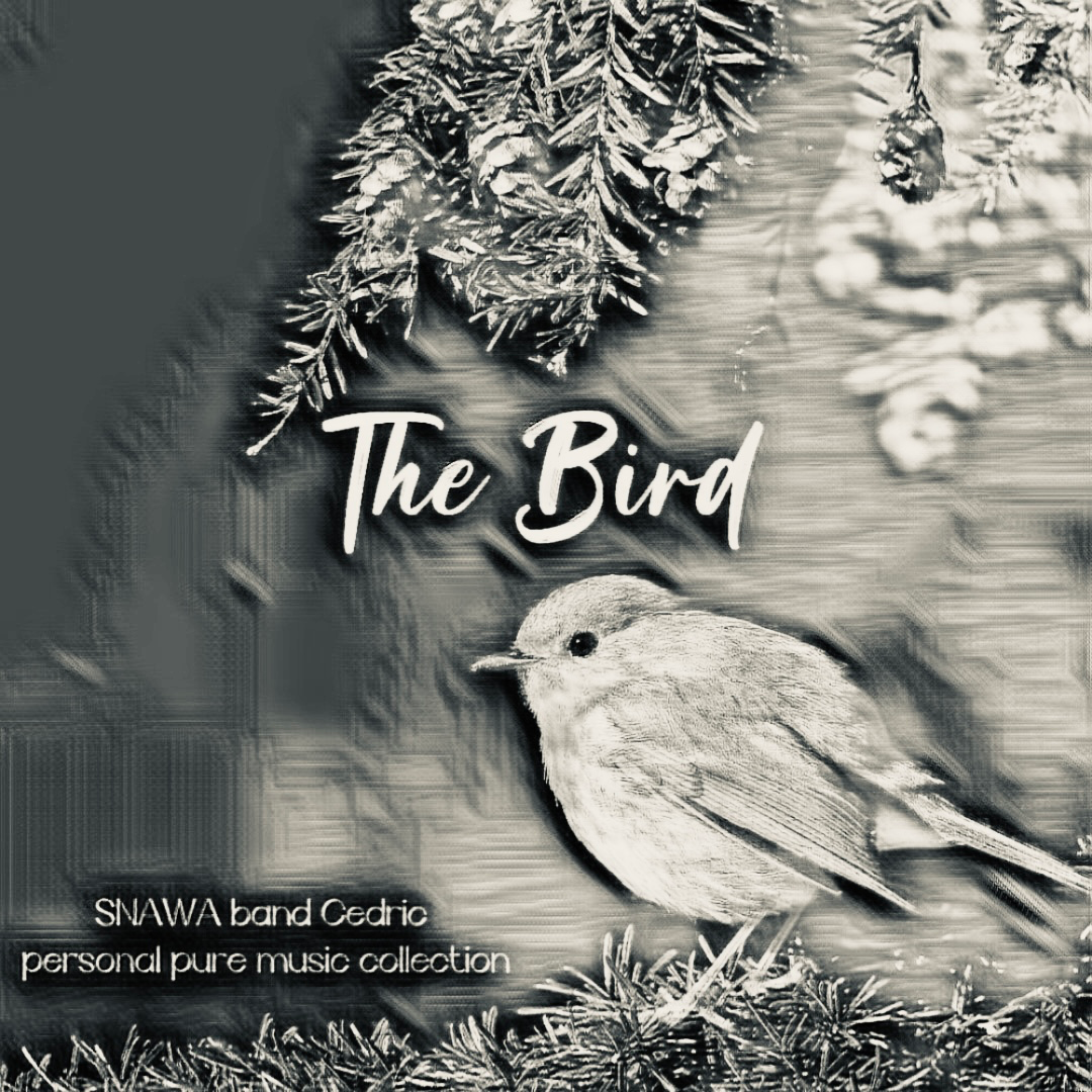 THE BIRD