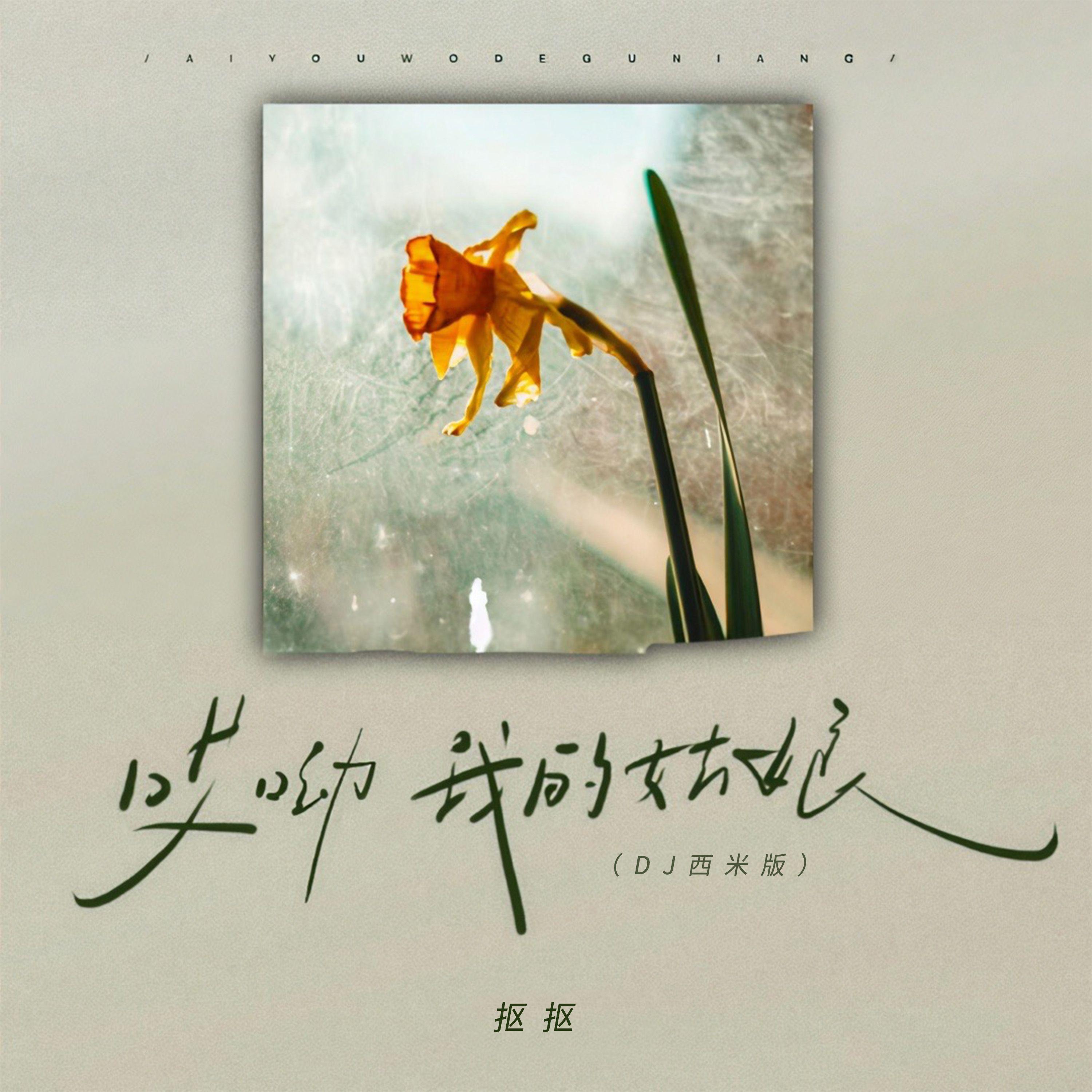 哎呦我的姑娘 (DJ西米版)