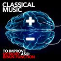 Classical Music to Improve Memory and Brain Function专辑