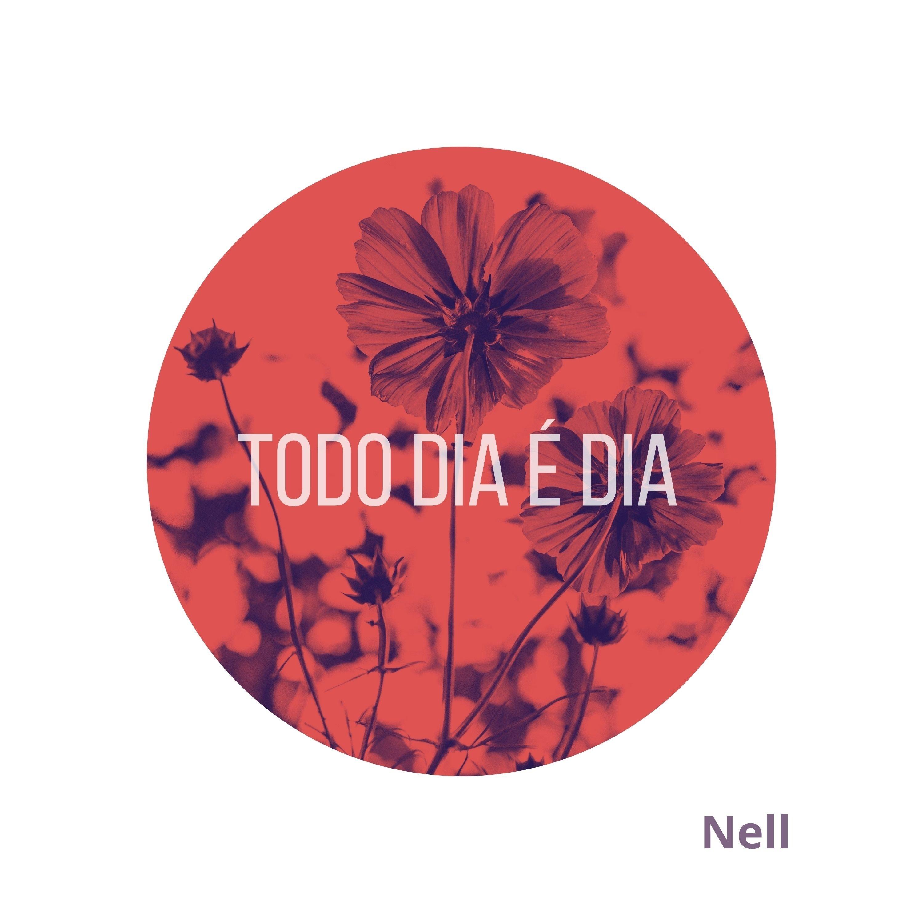 Todo dia é dia