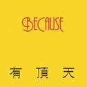 BECAUSE专辑