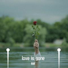 Love is Gone(翻自SLANDER)