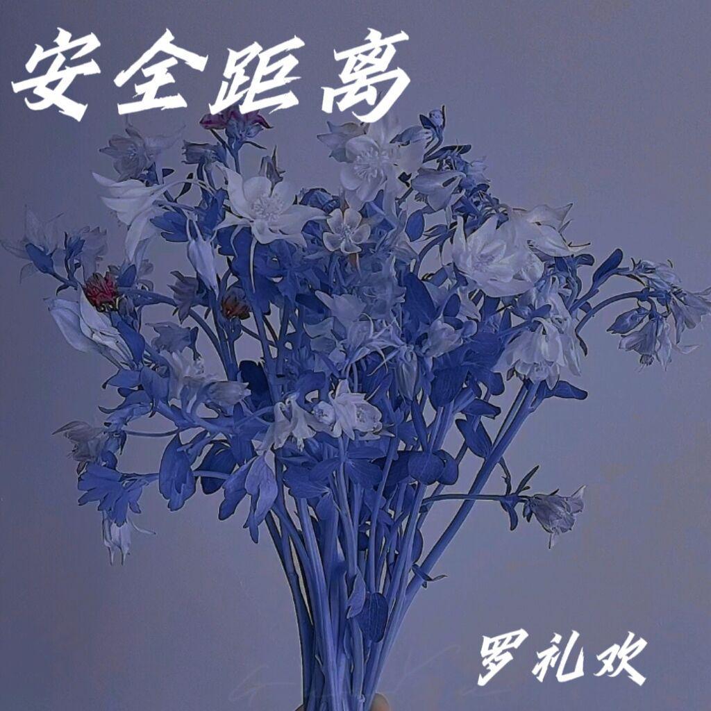 安全距离