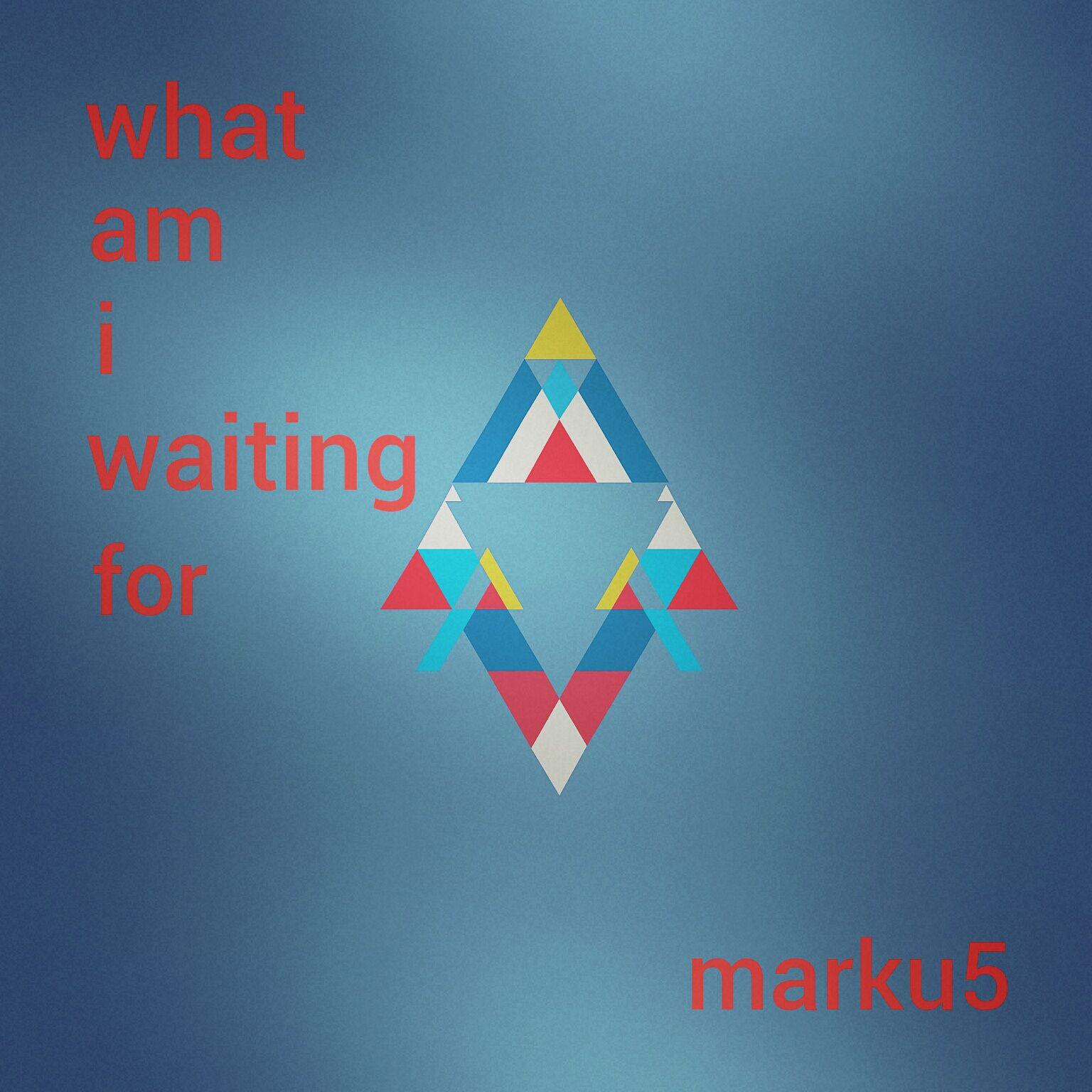 What Am I Waiting For (Original Mix)专辑