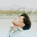 I'm Sorry专辑