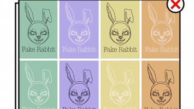 Fake Rabbit