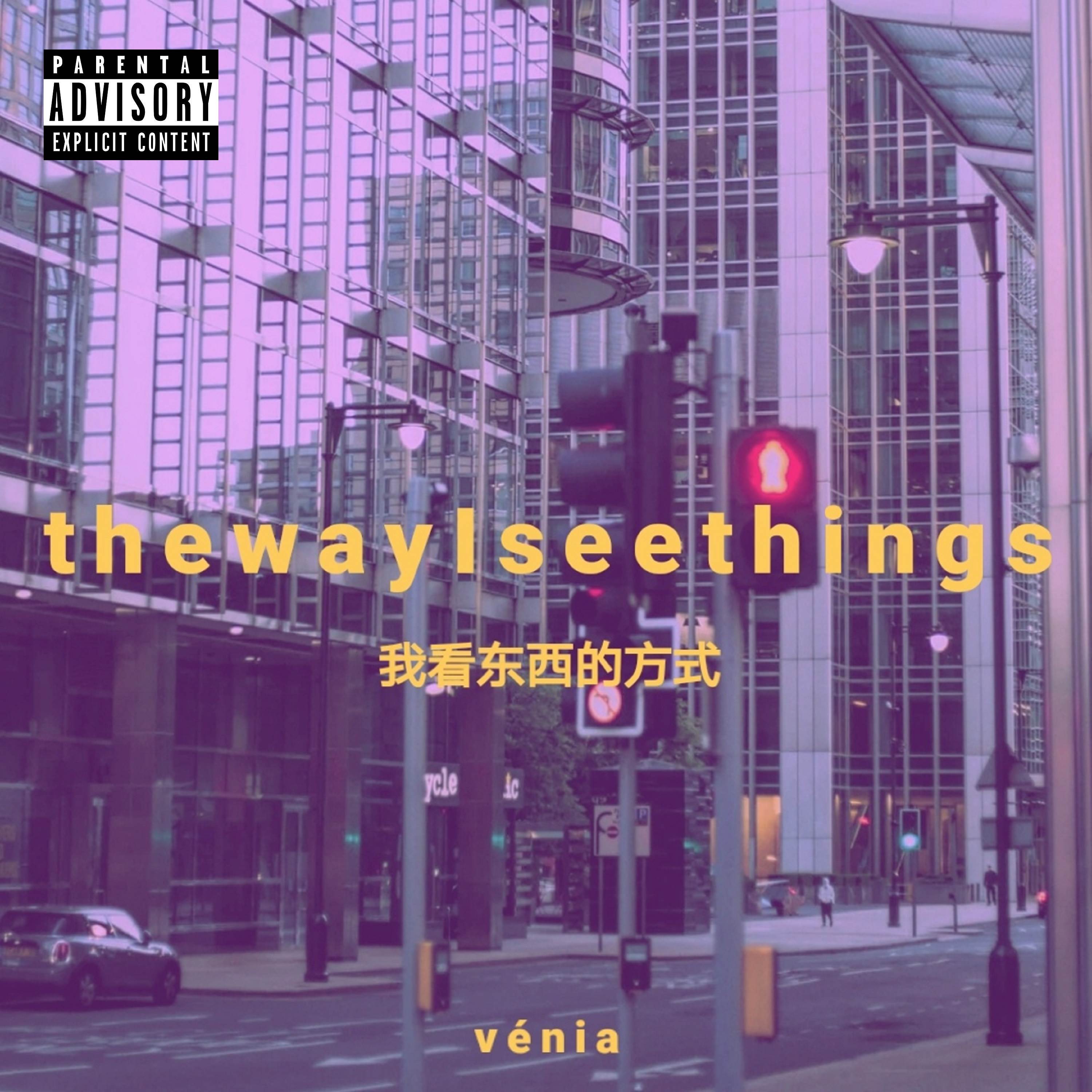 Vénia - The Way I See Things