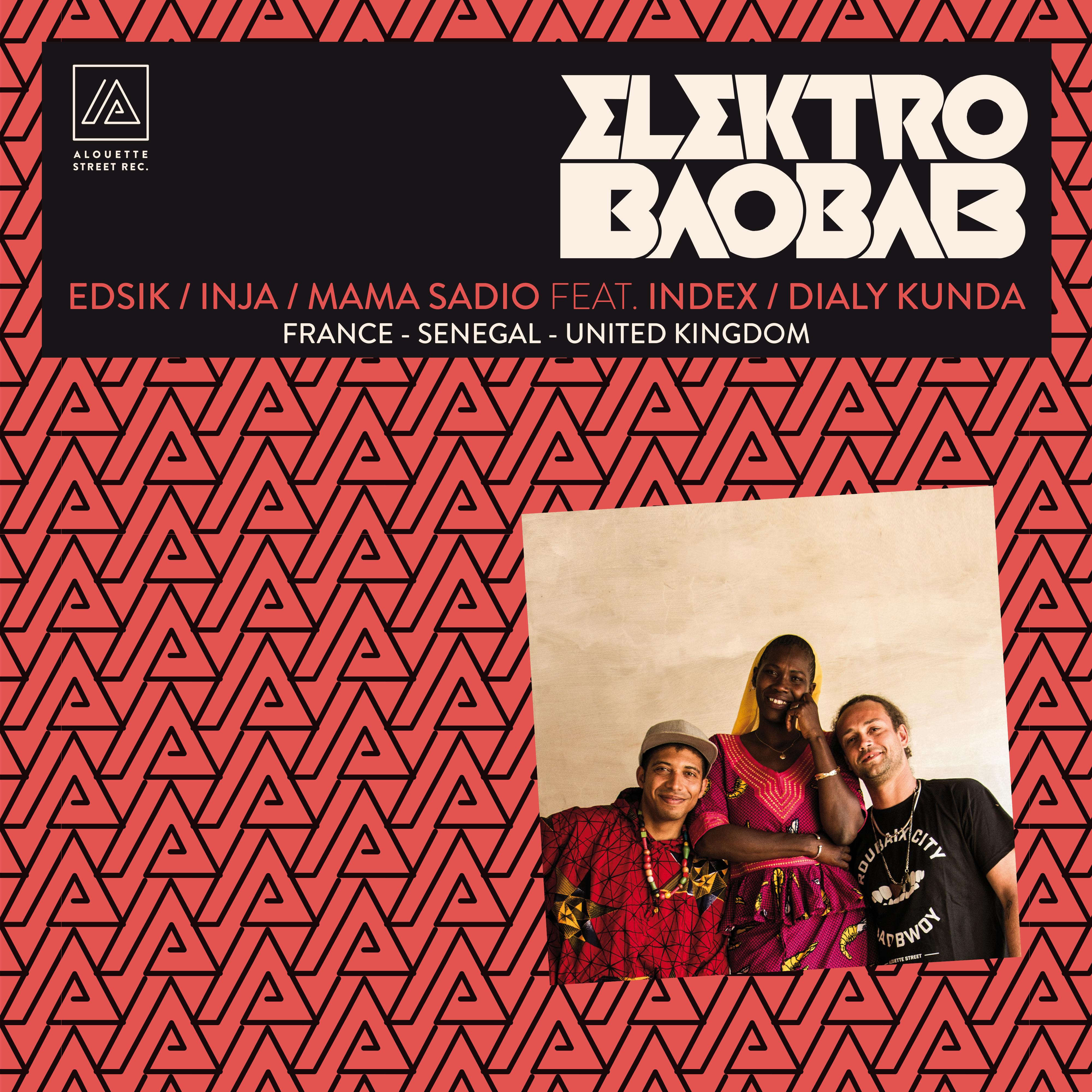 Elektro baobab