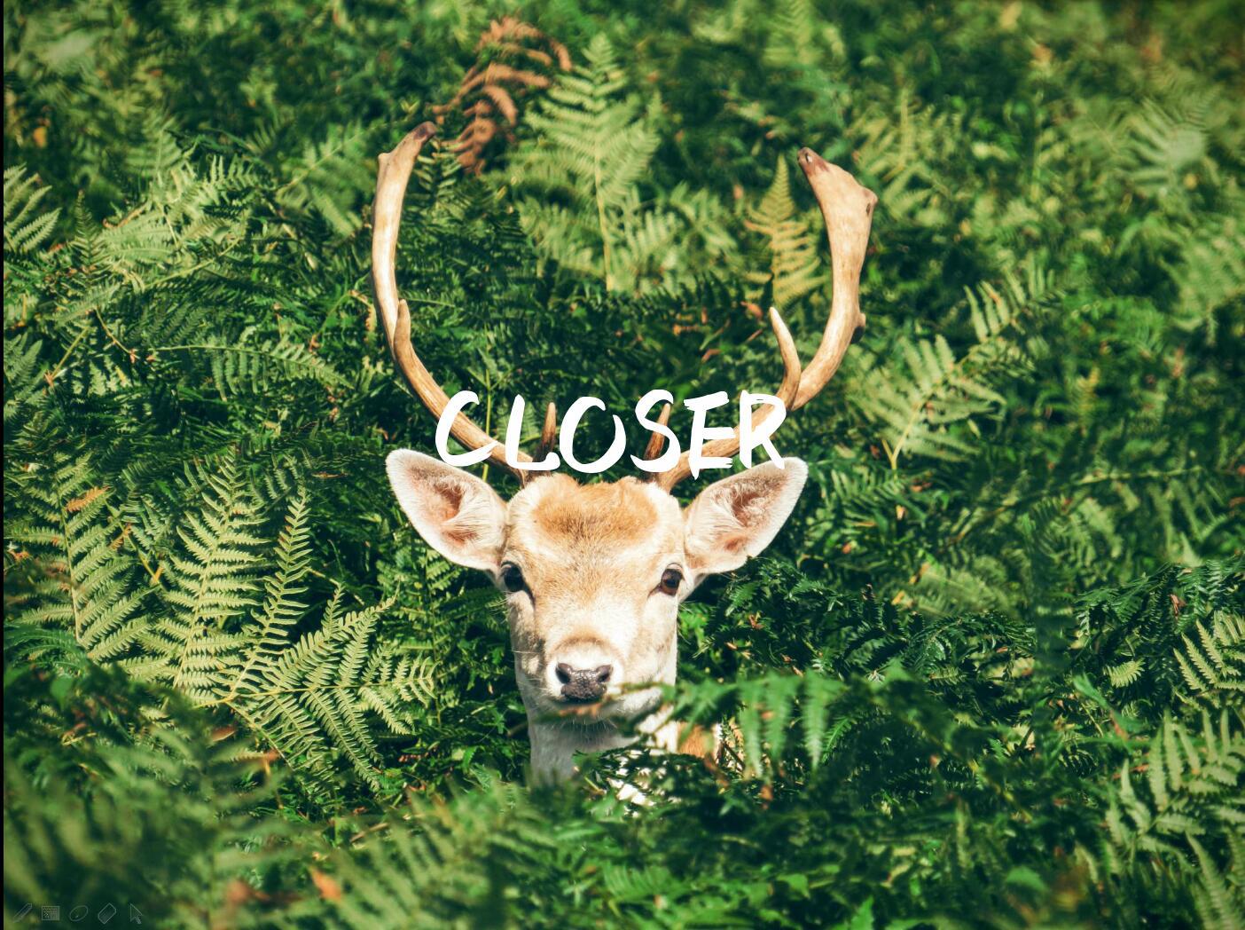 Closer（Tropical民乐remix）专辑