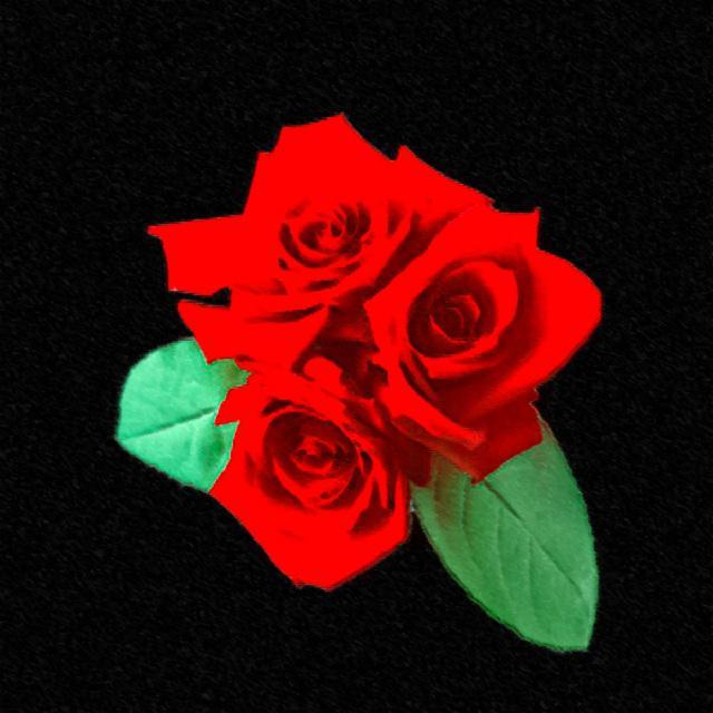 RnB Beat一朵玫瑰