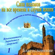 Сила псалмов Ваш путеводитель в любой жизненной ситуации 1