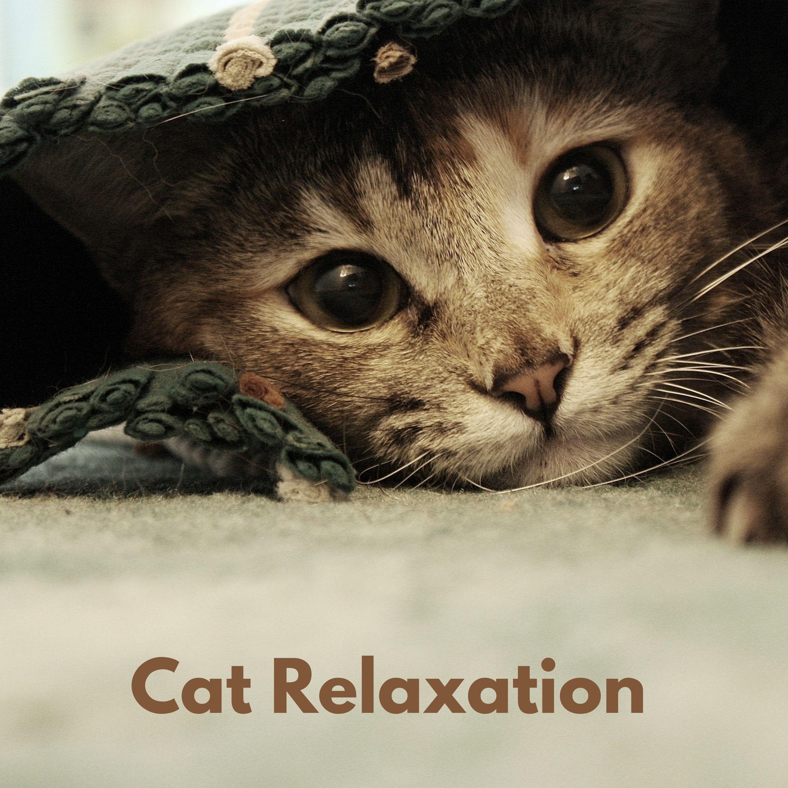 The Cat Relaxer - Deep Sleep Cat