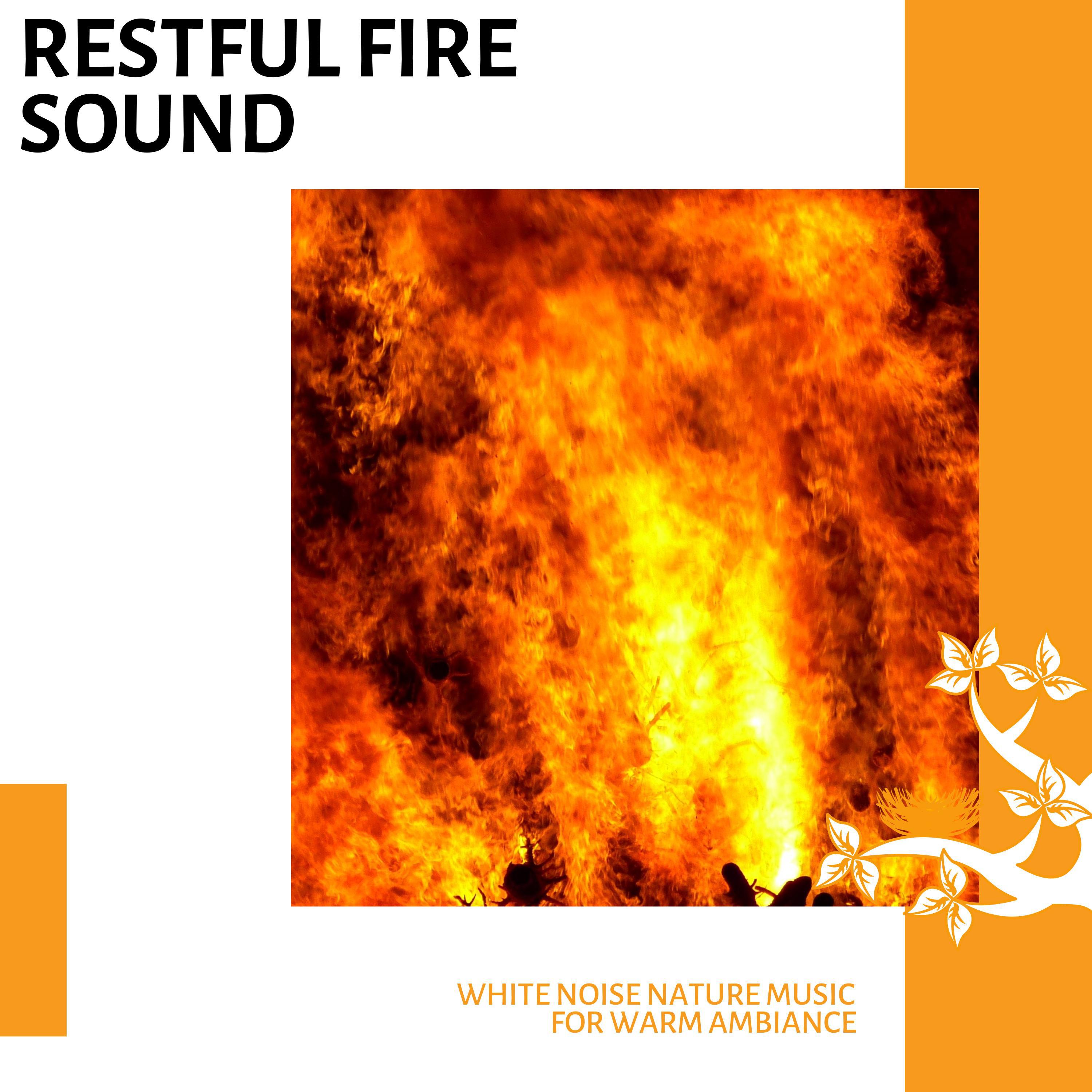 Tidal Flames Nature Music - Unique Fireplace