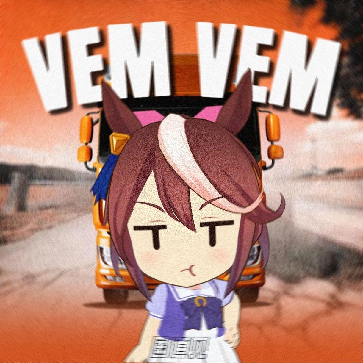 哈基米vem vem（我叫小白李 remix）