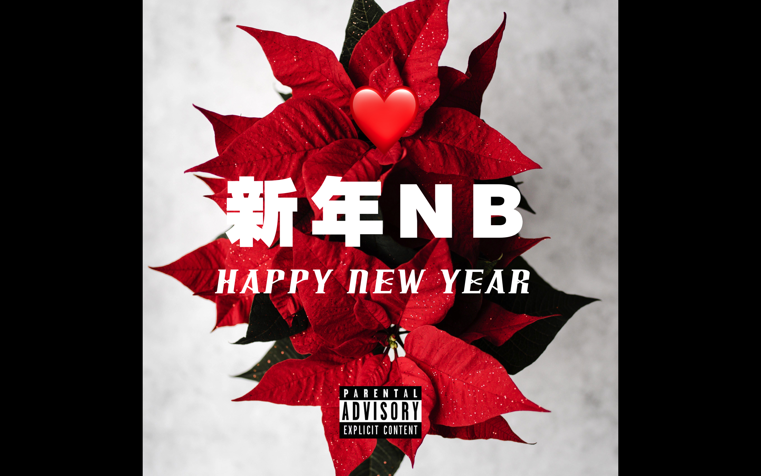 新年NB专辑