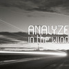 Analyze - I'm a Outcast
