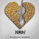 Signals (Christian Reindl Remix)专辑