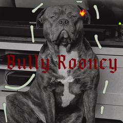 恶霸鲁尼Bully Rooney