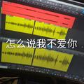 怎么说我不爱你