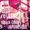 情熱 re(LIVE) -JAPONESQUE- (REMO-CON Non-Stop Mix) in Osaka at オリックス劇場 (2019.10.13)