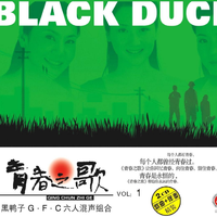 有一个美丽的传说 黑鸭子 绿色森林  320k伴奏 高音质伴奏 歌曲伴奏 立体声伴奏 带提示 关键地方和声