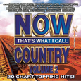 Now That's What I Call Country Volume 2