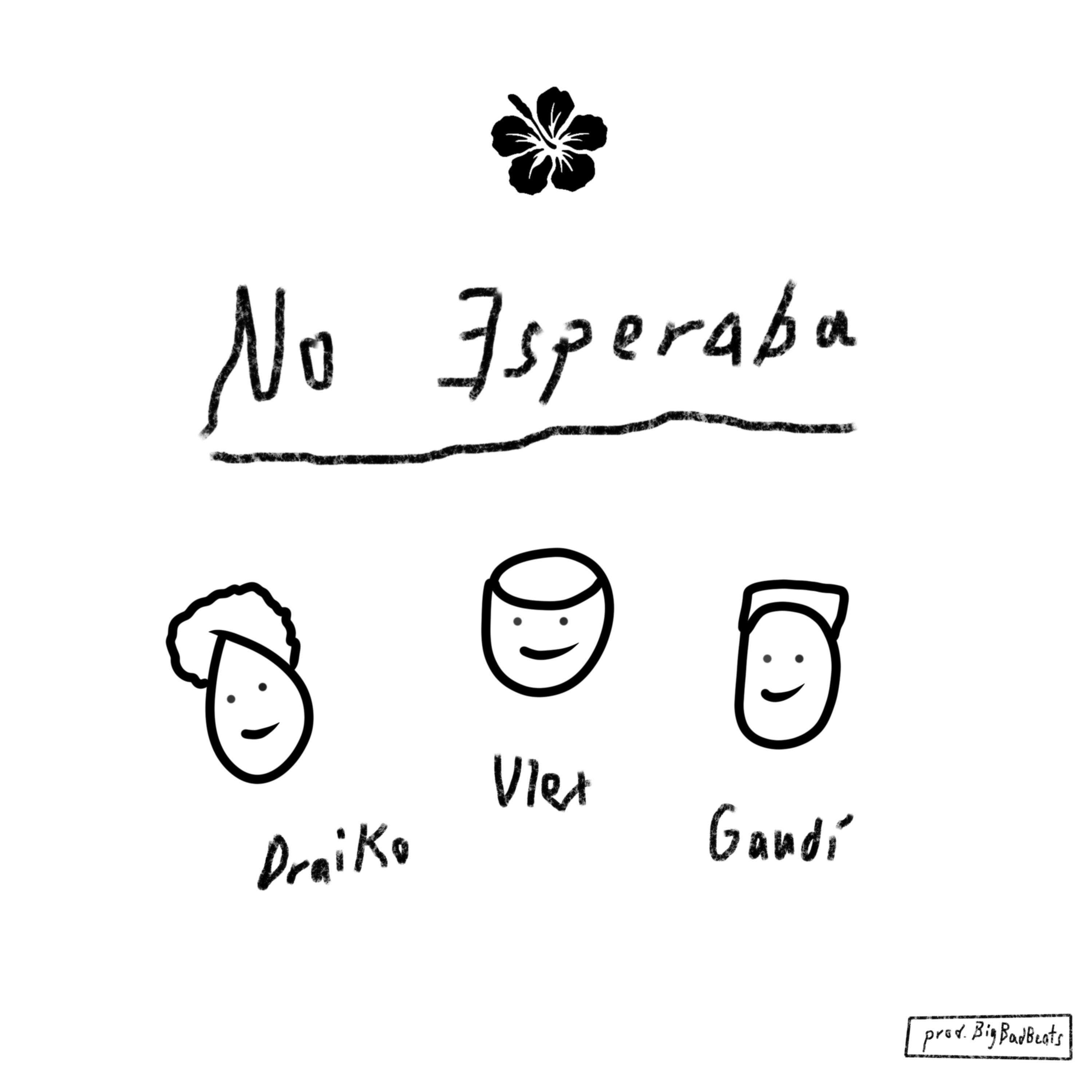 No Esperaba (feat. Gaudí & Draiko)
