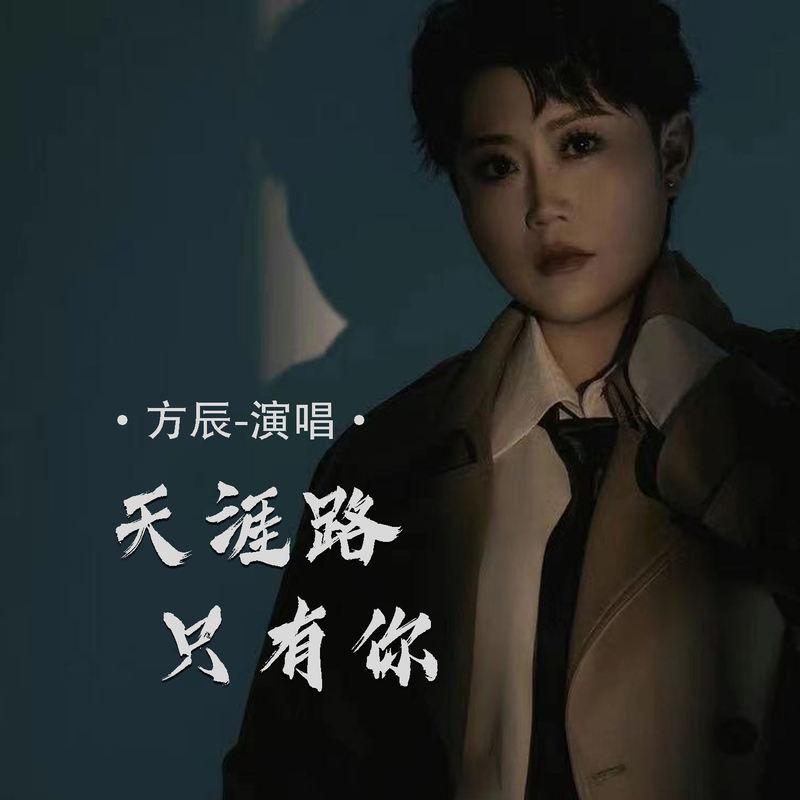 天涯路只有你 (DJ默涵版)