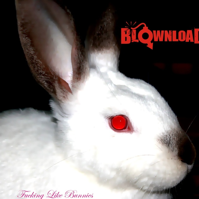 ****ing Like Bunnies