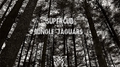 Jungle Jaguars专辑