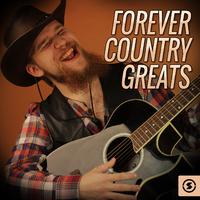 Forever Country - Artists of Then, Now & Forever (HT karaoke) 带和声伴奏