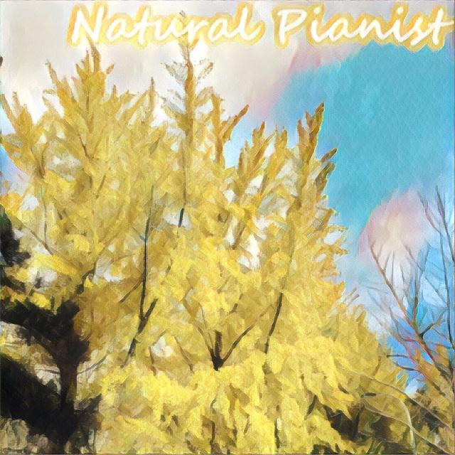 叶舞金风-Natural Pianist for Autumn专辑