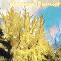 叶舞金风-Natural Pianist for Autumn
