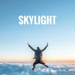 Skylight专辑