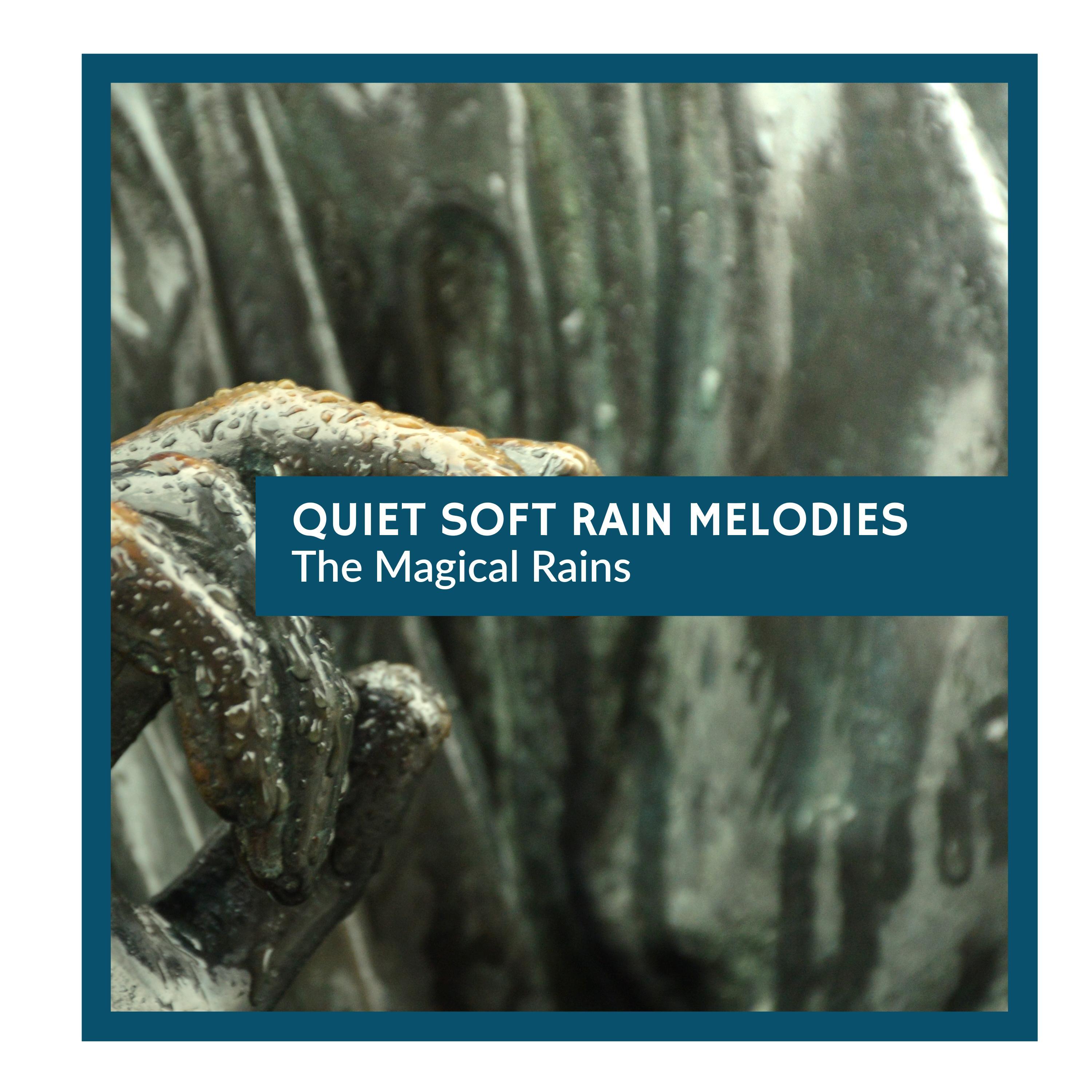 Relaxing 9D Rain Sounds - Vulnerable Insects