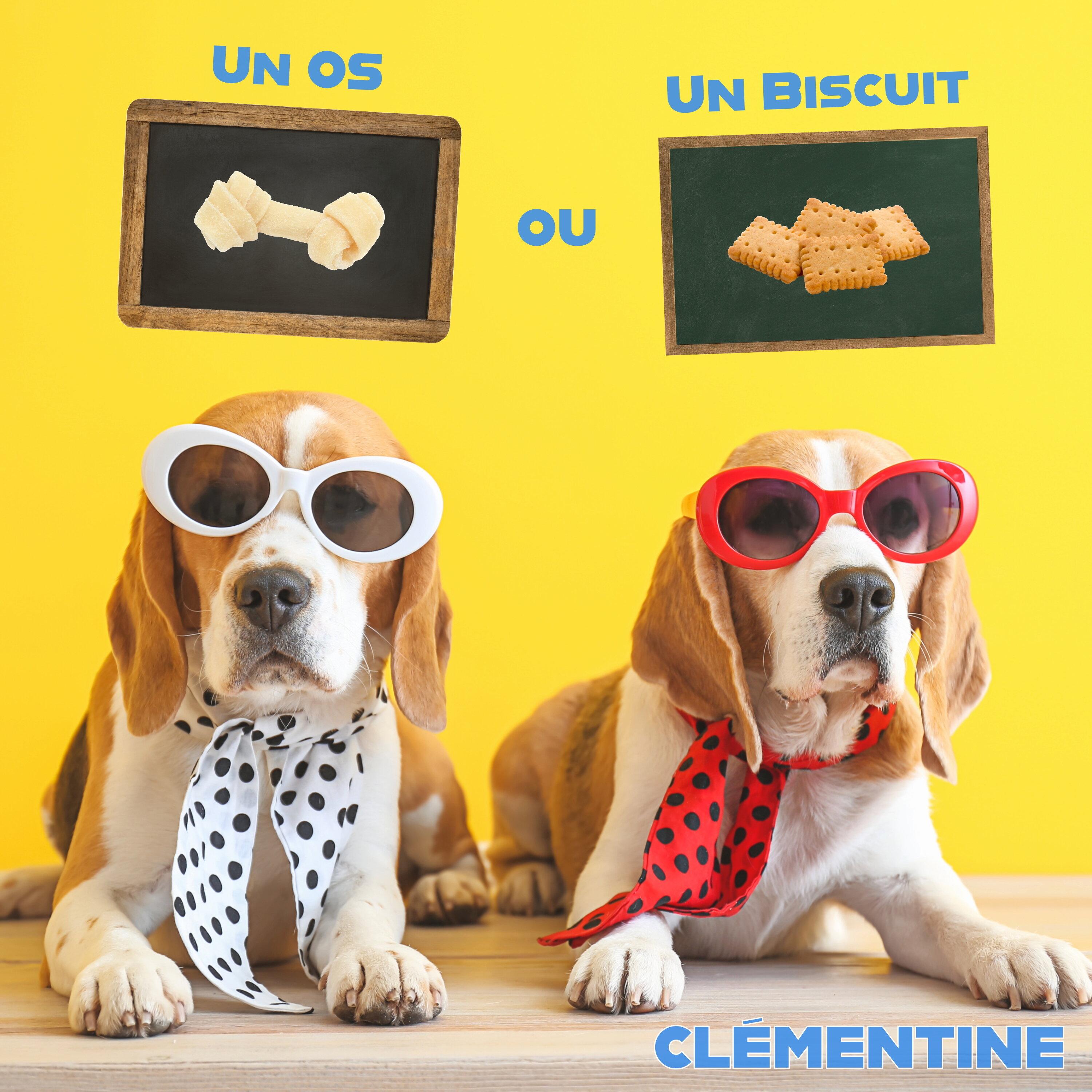 Un os ou un biscuit