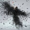 Black Bird / Tiny Dancers / 思い出は奇麗で专辑
