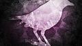 The Worlds We Discovered (Matthew Parker Remix)专辑