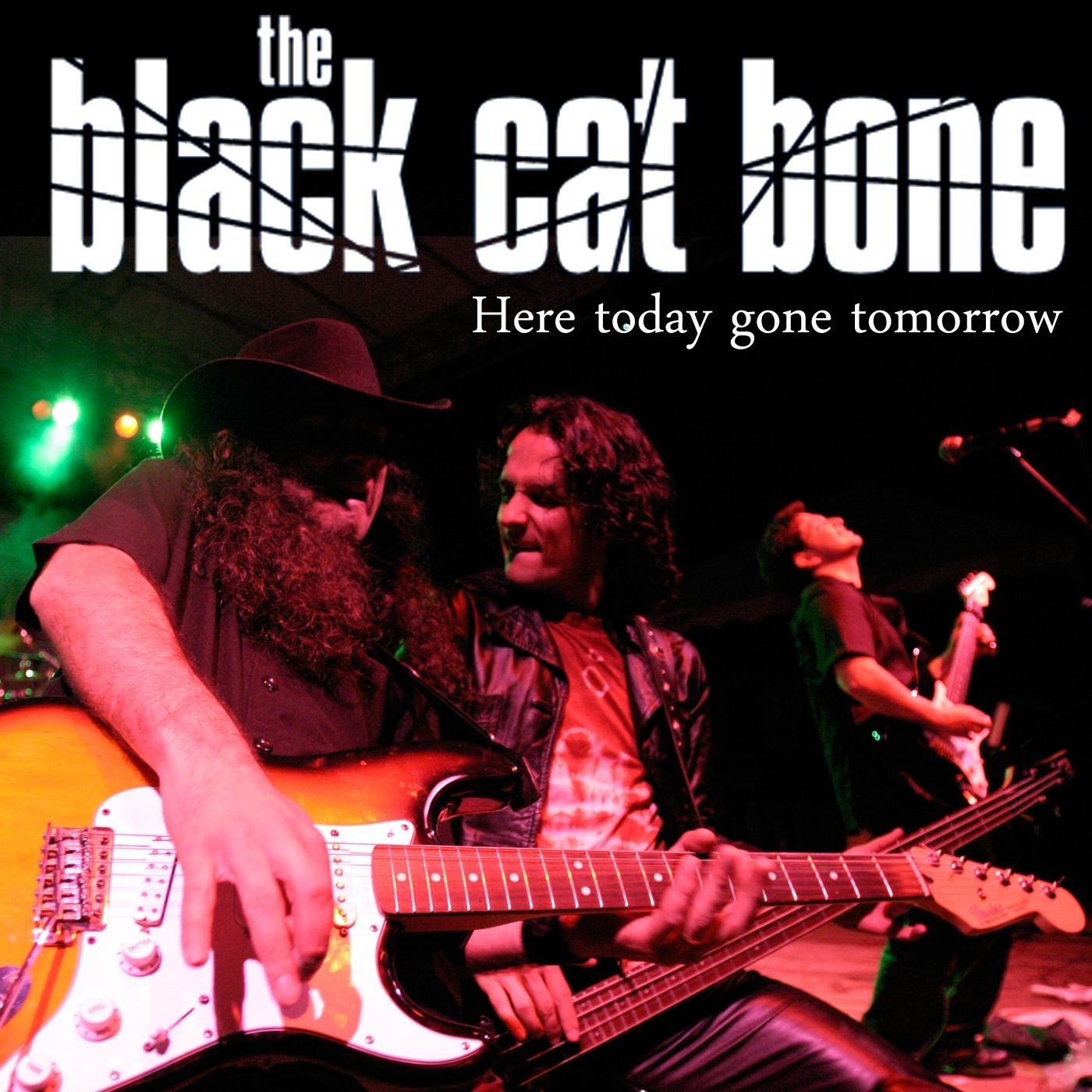 Here Today Gone Tomorrow