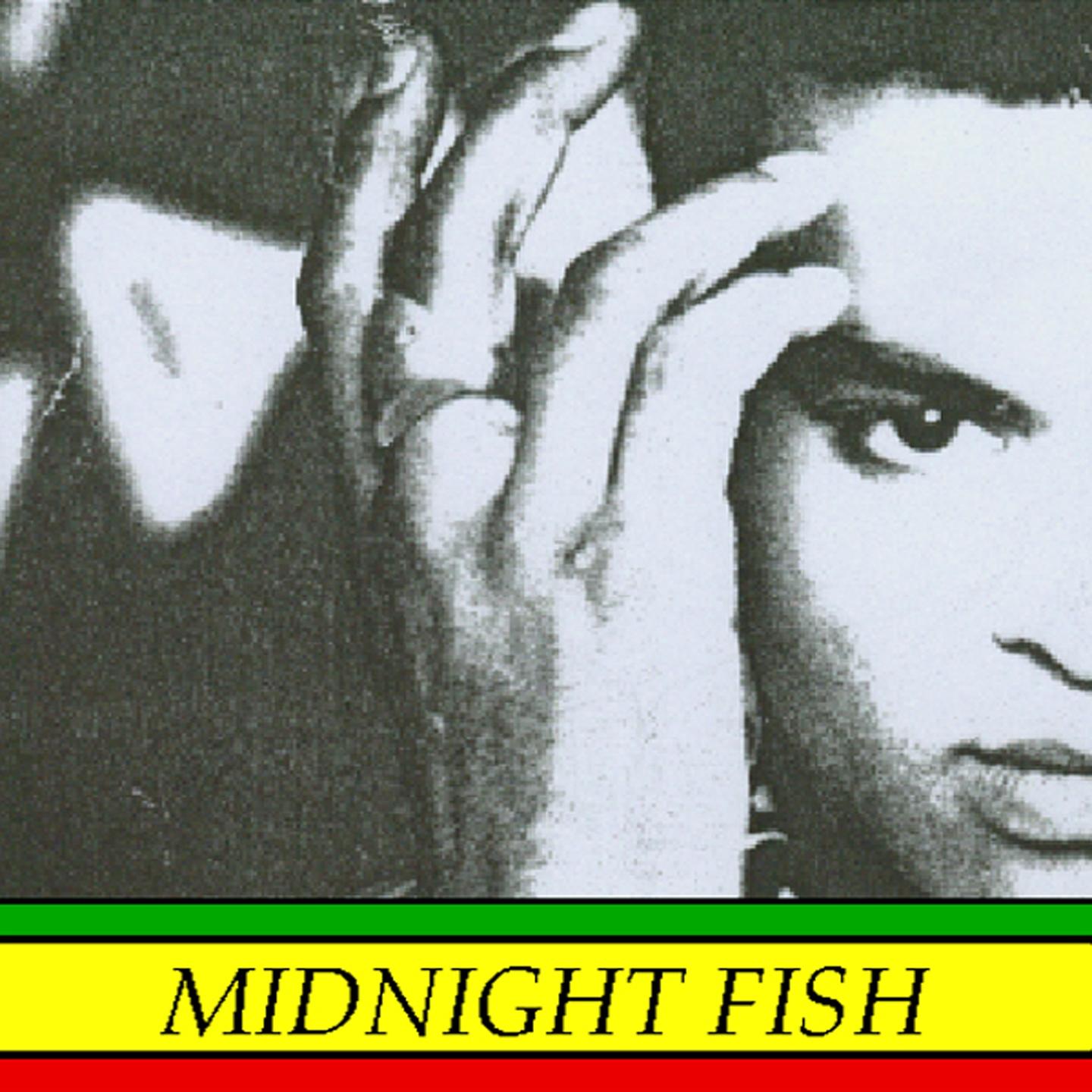 Midnight Fish