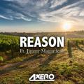 Reason (Original Mix)