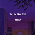 Luv me I can feel专辑