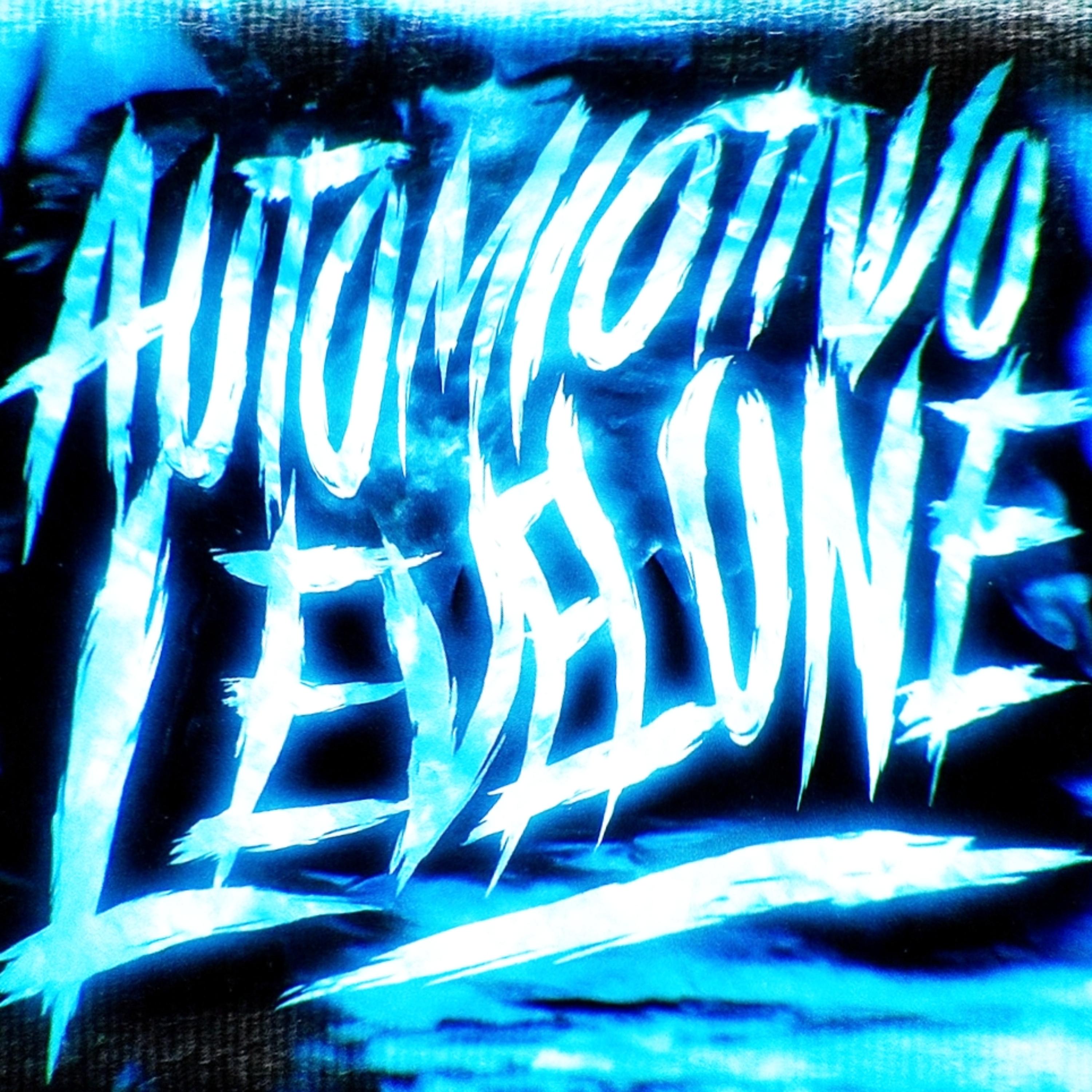 AUTOMOTIVO LEVEL ONE