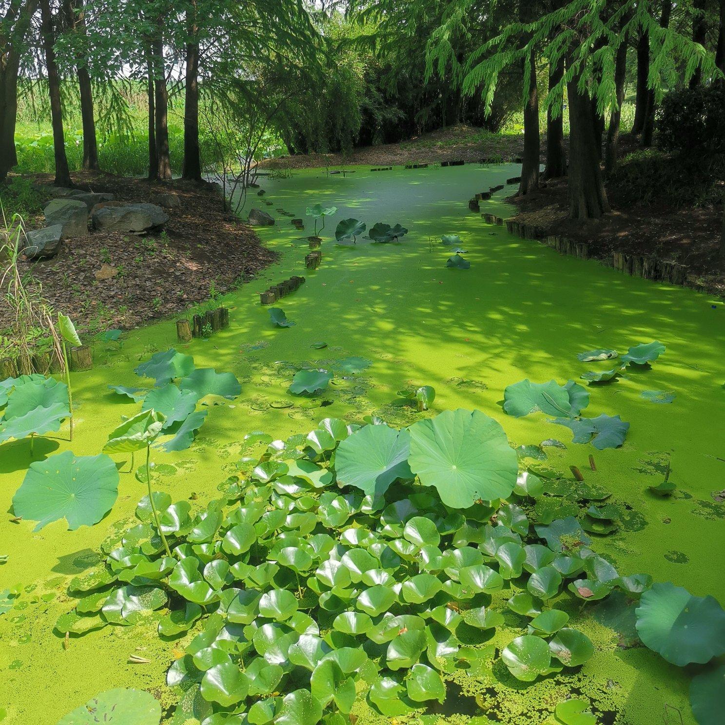 山外小楼听夜雨