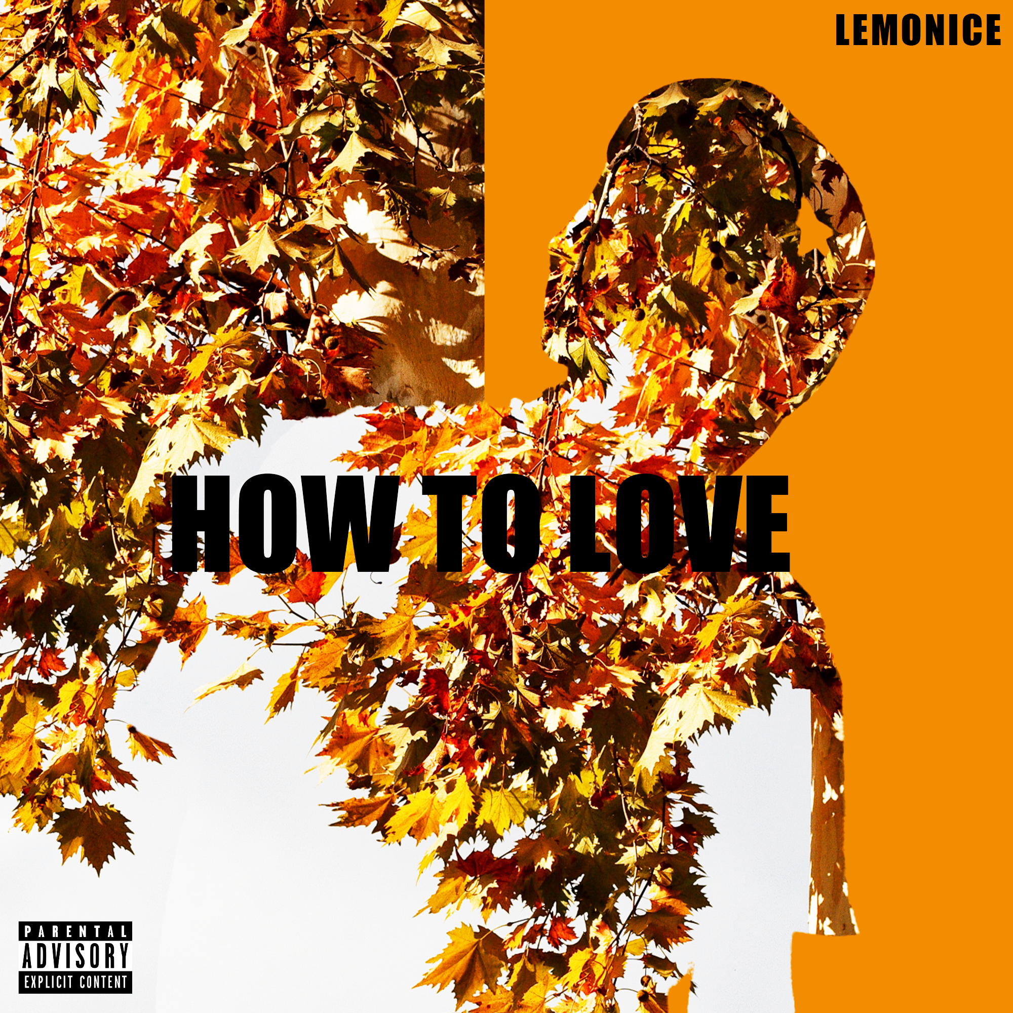 How To Love