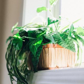 纯音｜静心｜空灵｜学习｜沉思